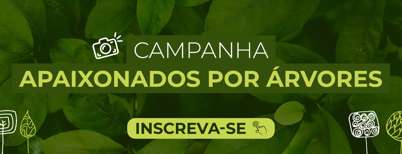 Concurso de Fotografias - Apaixonados por Árvores - Inscrição