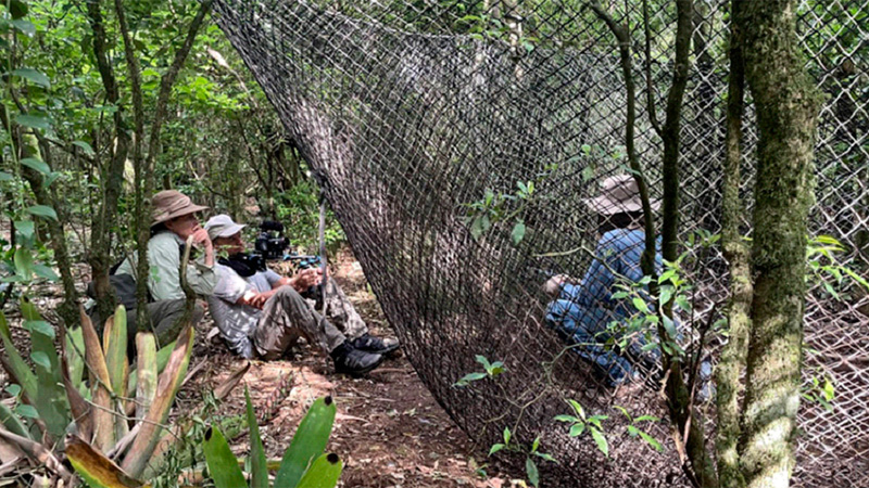 Foto  - MAC Americana exibe documentário sobre espécies invasoras de ecossistemas