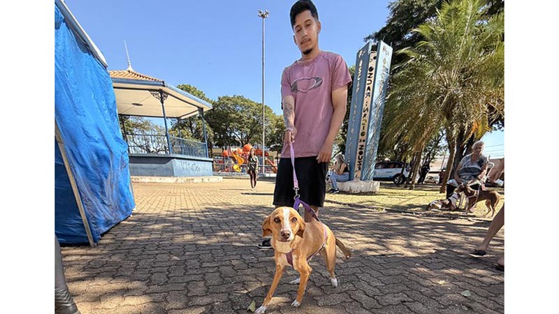  Mutirão gratuito realiza quase 400 castrações de cães e gatos na Cidade Jardim
