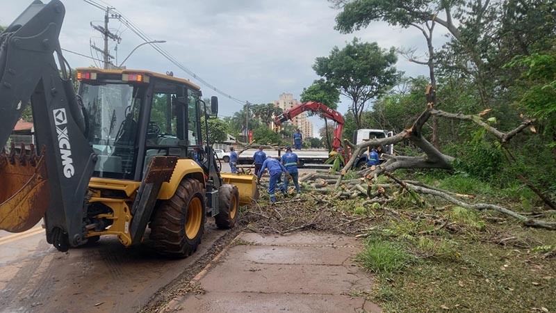 Foto  - Prefeitura atua na limpeza de áreas atingidas pelas chuvas em Americana