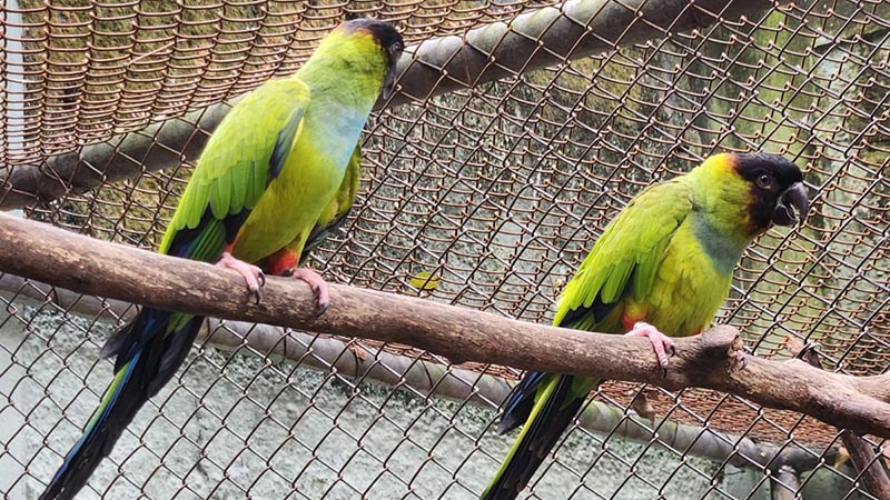 Moradores de Americana podem visitar gratuitamente o Parque Ecológico neste fim de semana
