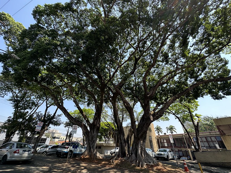 Foto  - Prefeitura de Americana abre inscrições para concurso de fotografias 