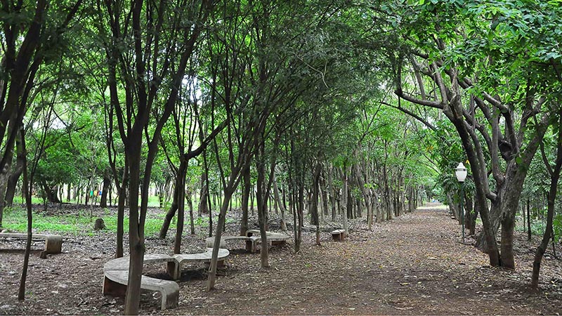 Parque Ecológico e Jardim Botânico fecham mais cedo neste domingo