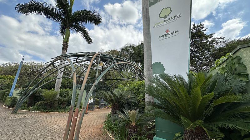Foto  - Prefeitura inicia revitalização na fachada e no orquidário do Jardim Botânico