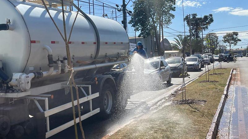 Meio Ambiente conclui primeira fase do plantio de ipês na Avenida Armando Sales