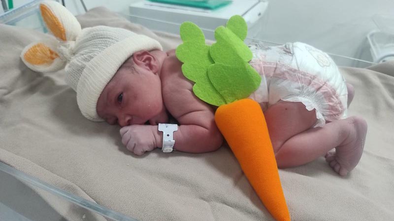 Recém-nascidos na Maternidade do HM ganham toucas de coelhinho na semana de Páscoa